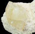 Gemmy, Twinned Calcite Crystals on Barite - Elmwood #66310-3